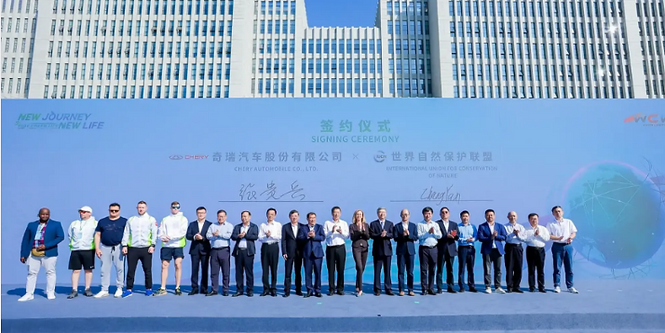 **What This Article Offers**