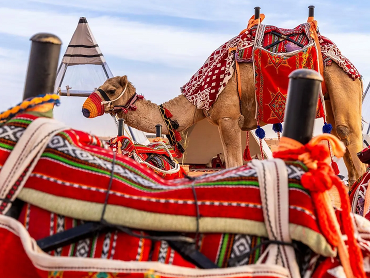 Traditional Camel-Related Tools Are on Display at the King Abdulaziz Camel Festival