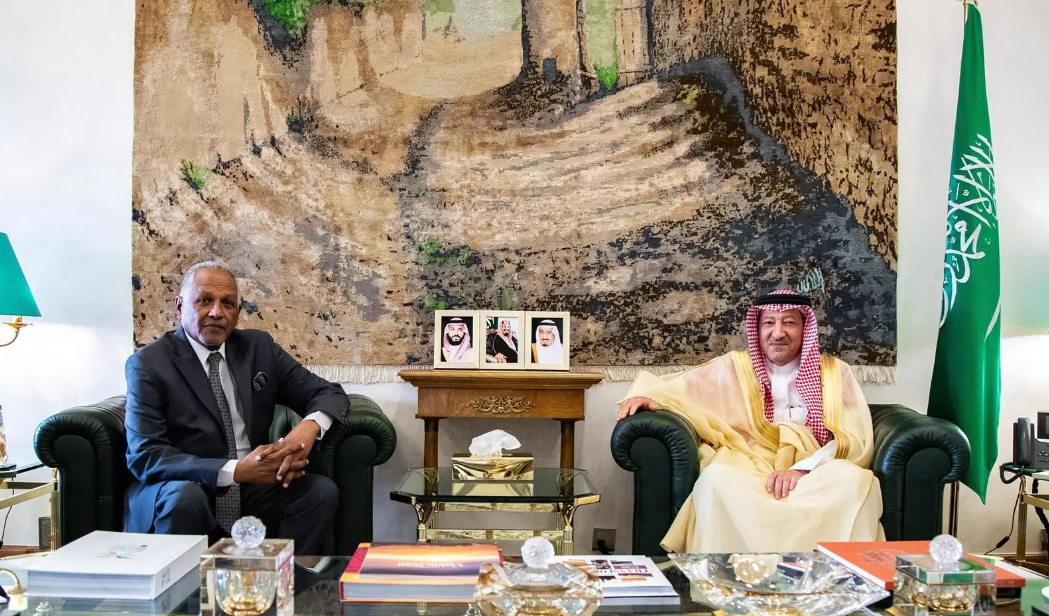 Deputy Foreign Minister holds talks with Sudanese Ambassador