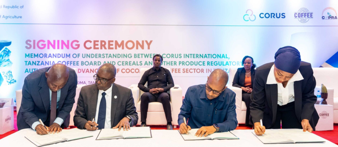 Saudi Arabia’s Vision 2030 Journey