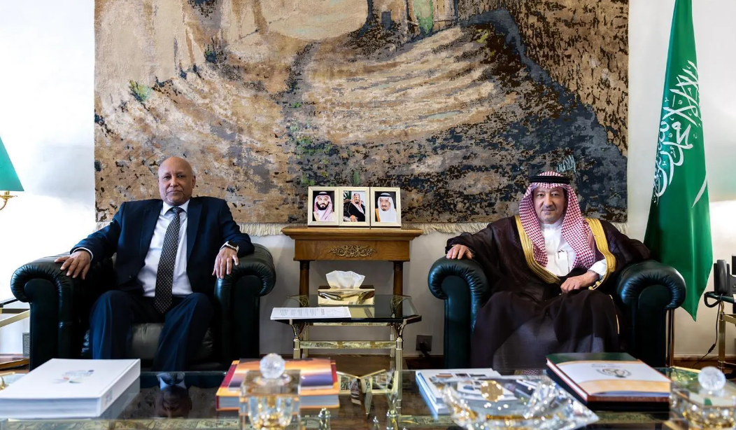 Deputy Foreign Minister Holds Talks with Somali Ambassador