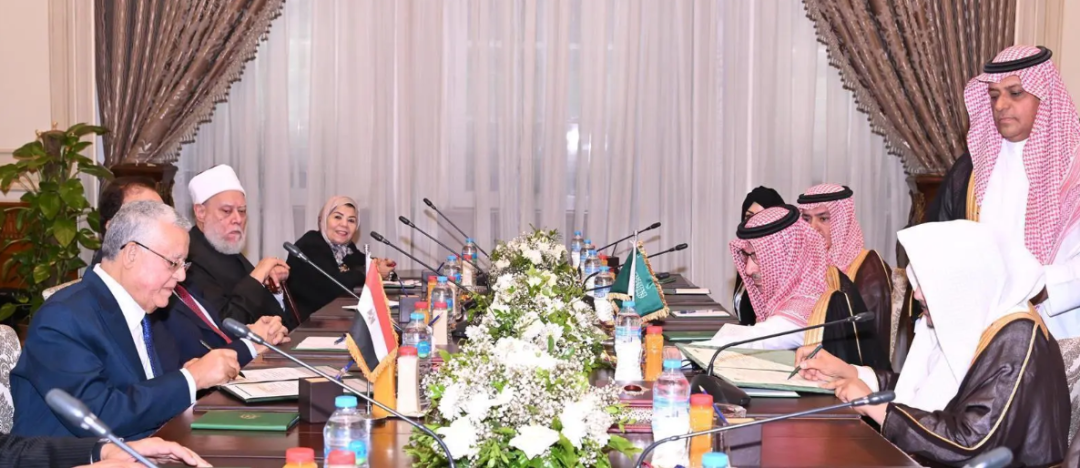 Shura Council Leader Holds Formal Discussions with Egyptian Parliament Speaker