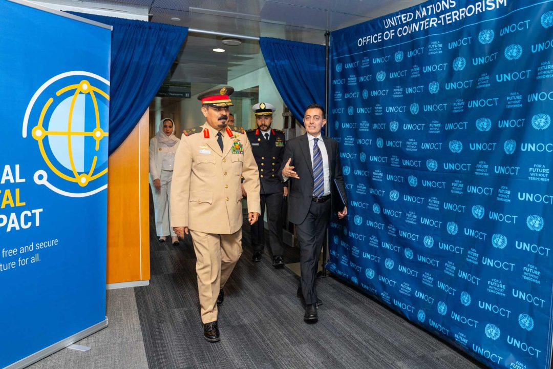 **What This Article Offers**