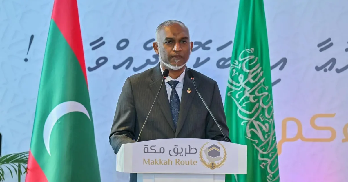 **What You’ll Discover**