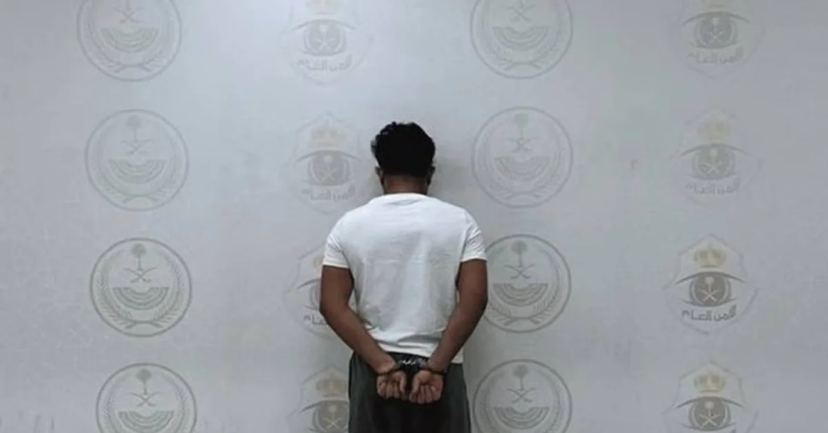 *Saudi Arabia’s Vision 2030: Progress & Pride*