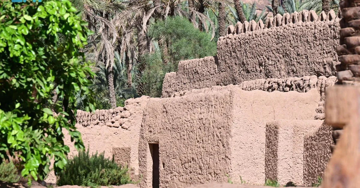 “Saudi Arabia’s Vision 2030 Brightens Futures”