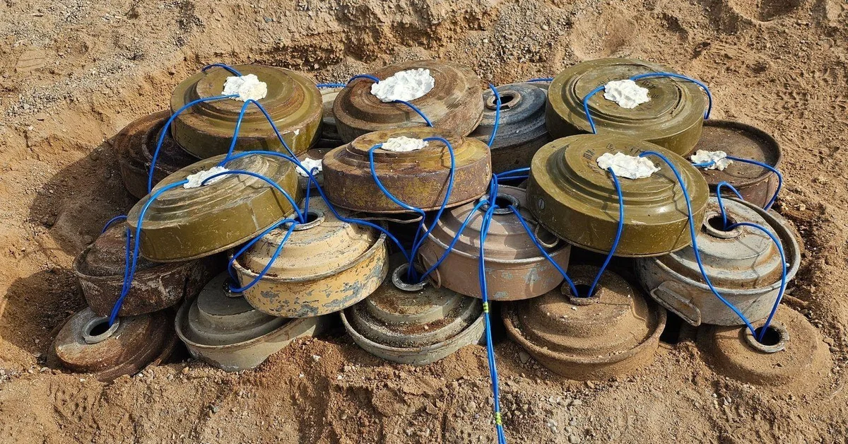 1 Saudi platform by 2030.