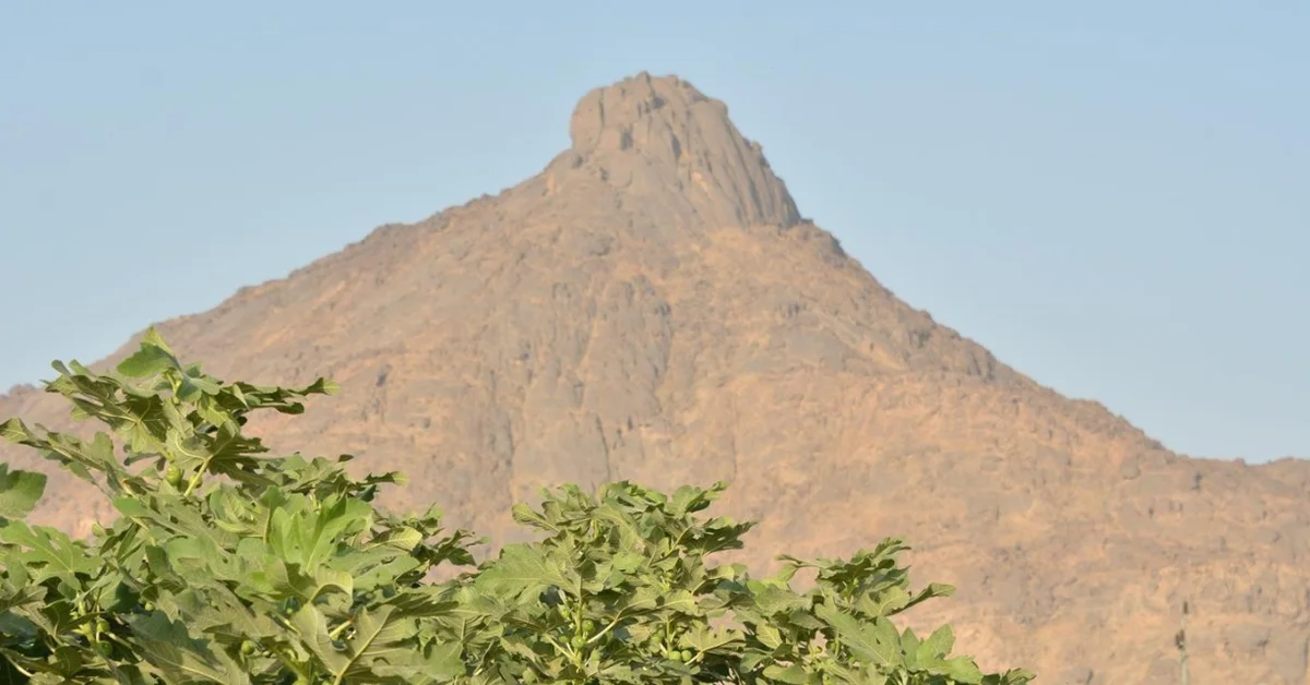 Saudi Arabia: Bridging Cultures, Building Futures