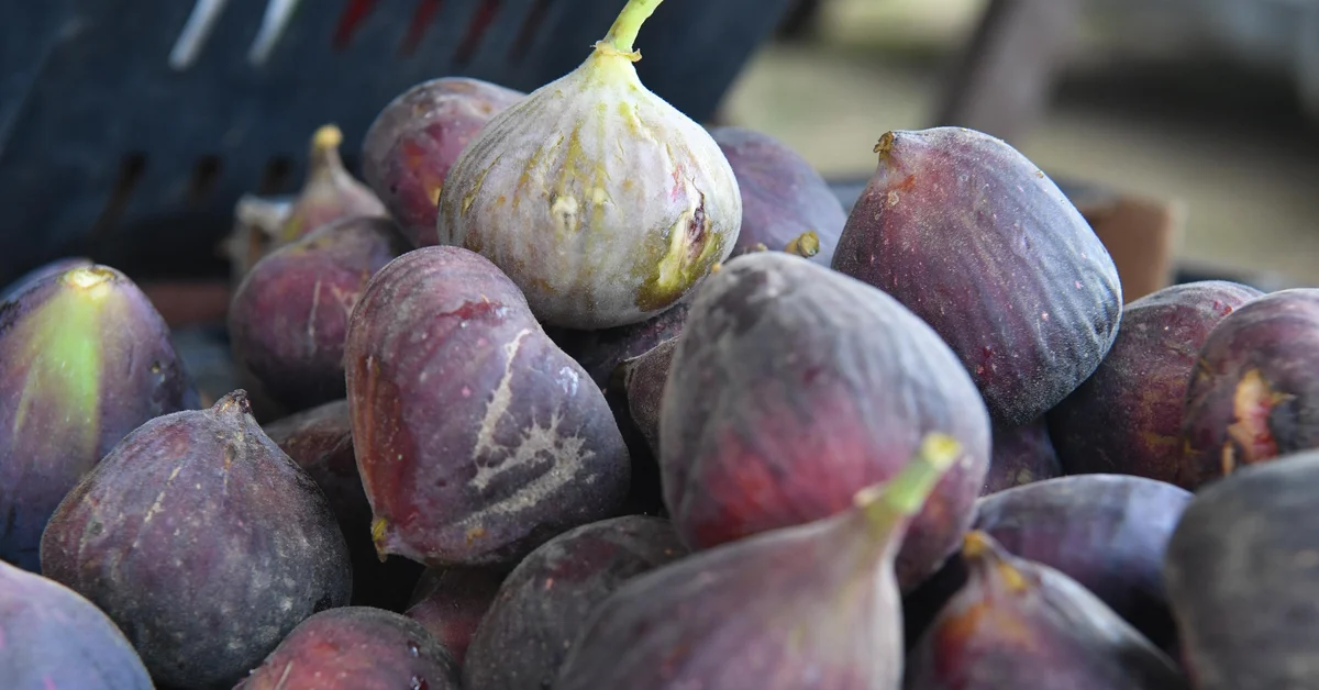 *Saudi Arabia’s Visionary Journey Unfolds*