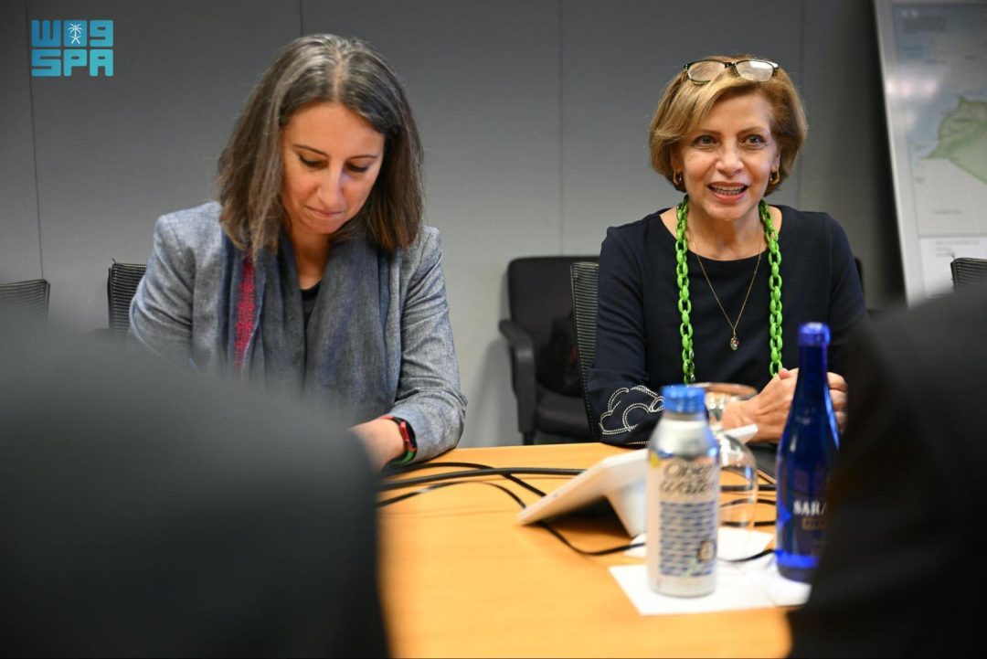 SDRPY Holds Several Meetings on Sidelines of World Bank and IMF 2025 Annual Meetings