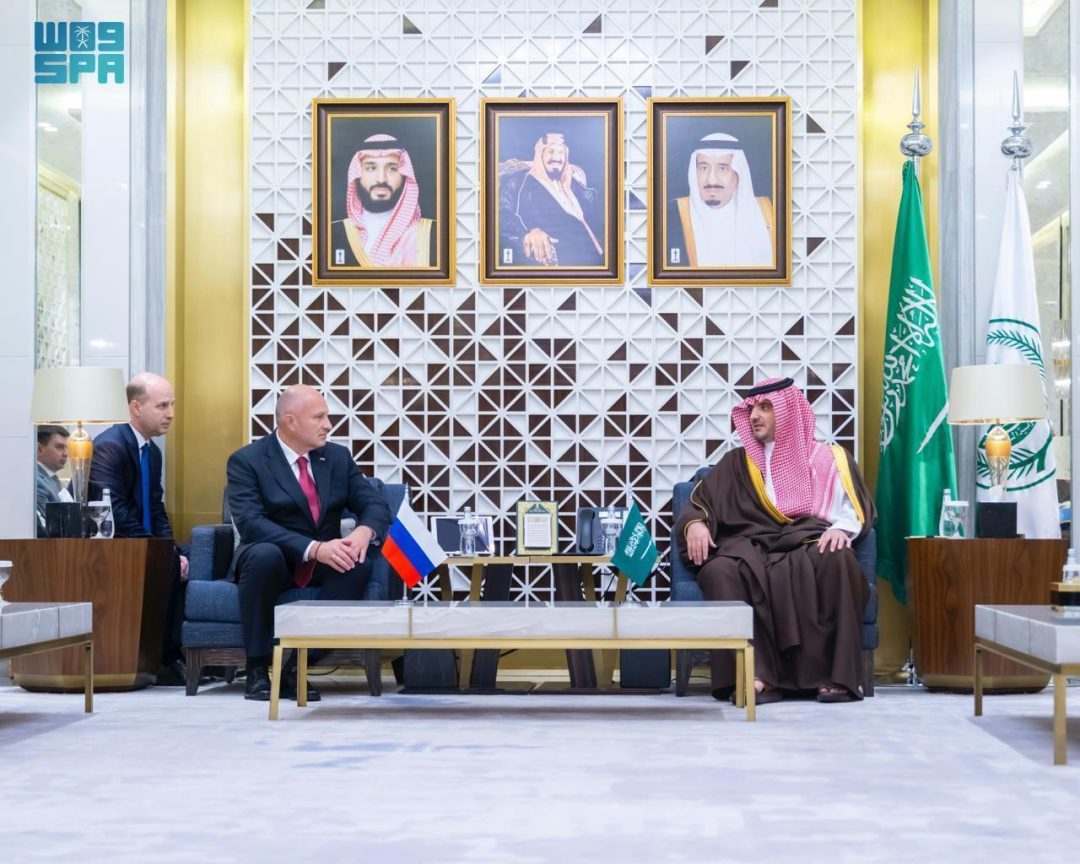 Interior Minister Discusses Cooperation with Russian Civil Defense Minister