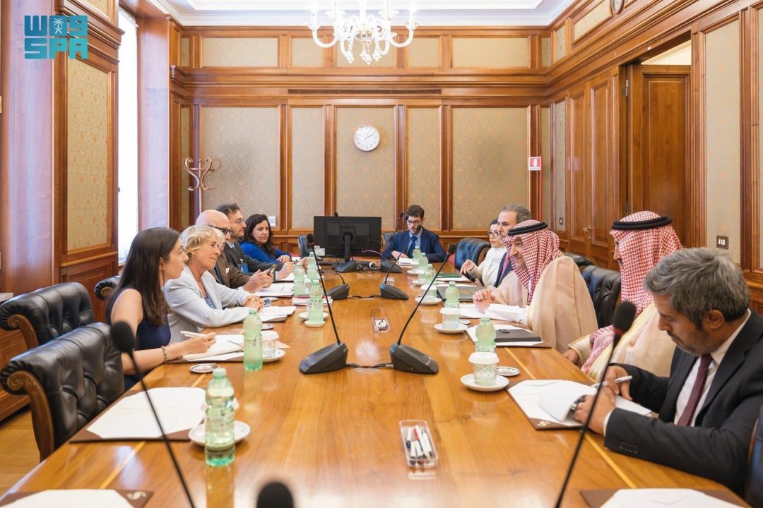 Vice Foreign Minister Meets Chair of Italian Senate’s Foreign Affairs and Defense Committee