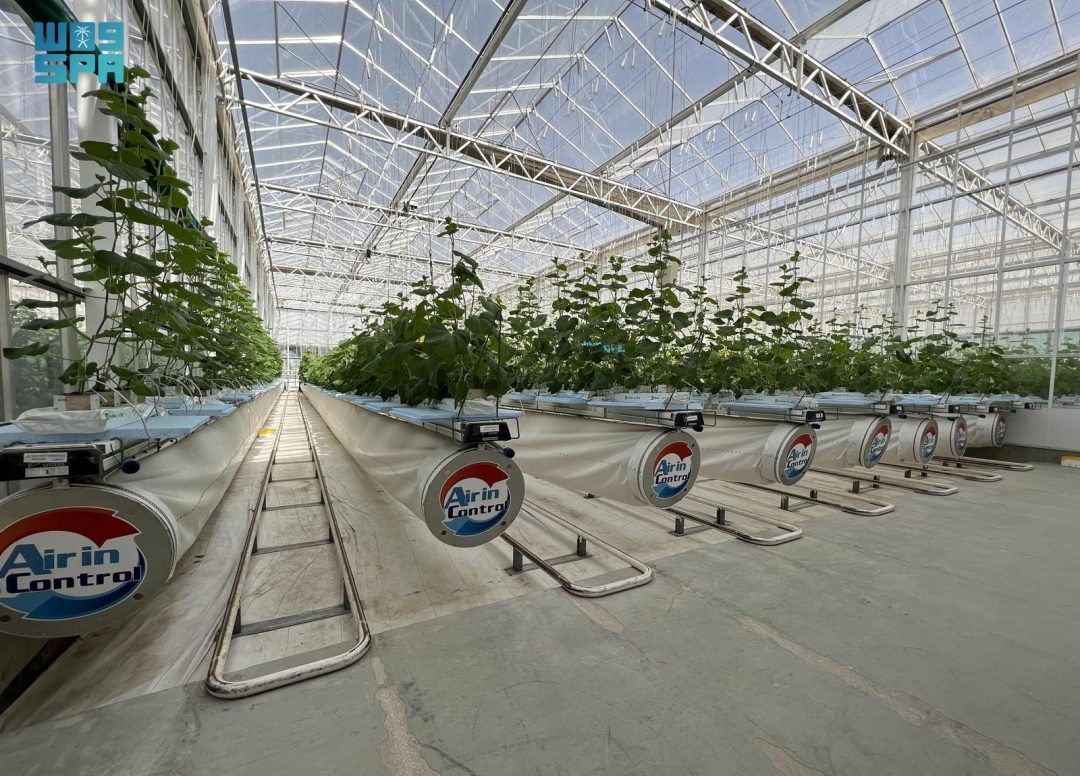 Estidamah Launches Second Greenhouse Management Training Program with NEOM’s Topian