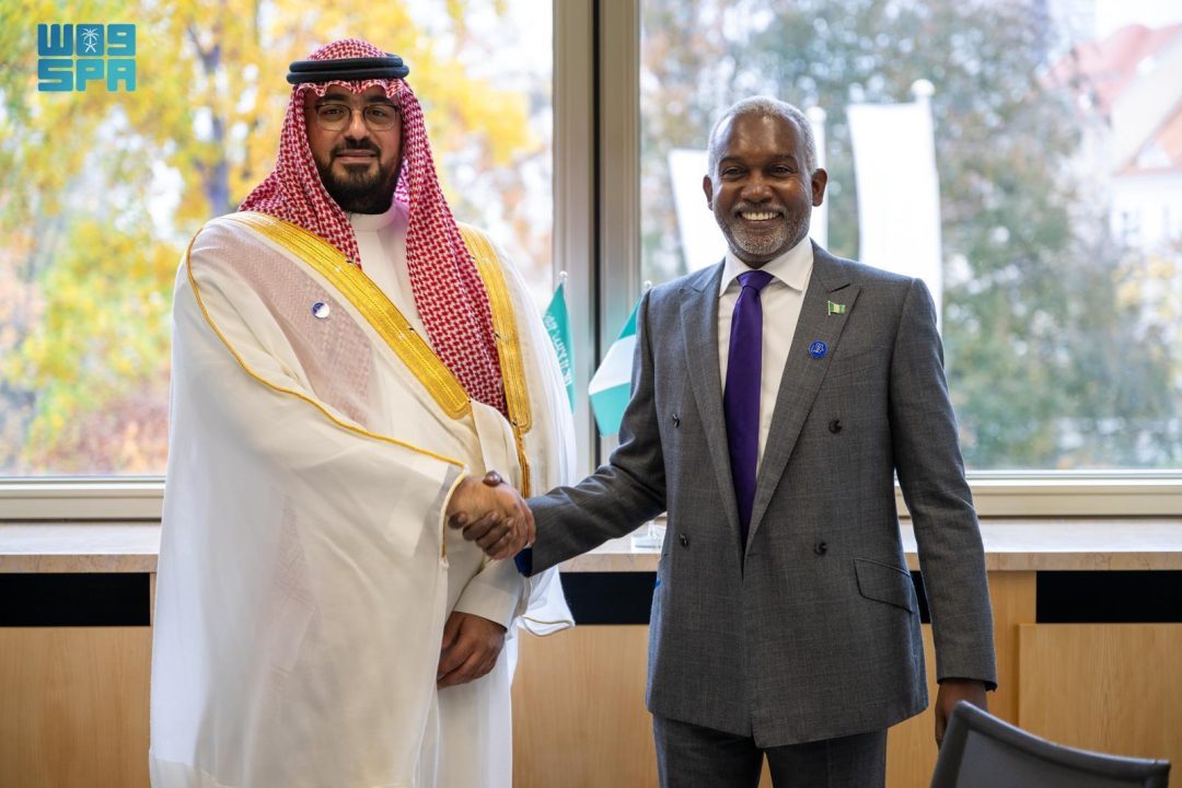 Economy Minister Meets Nigerian Foreign Minister