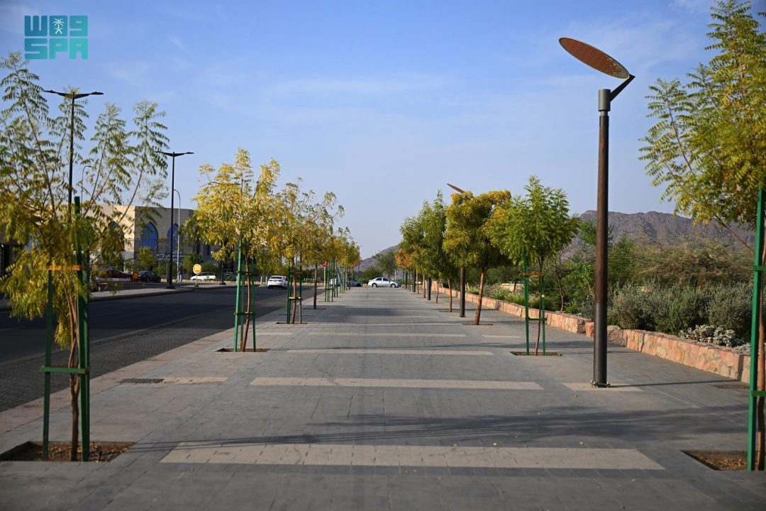 Sustainable Development Indicators Reflect Improved Quality of Life in Madinah