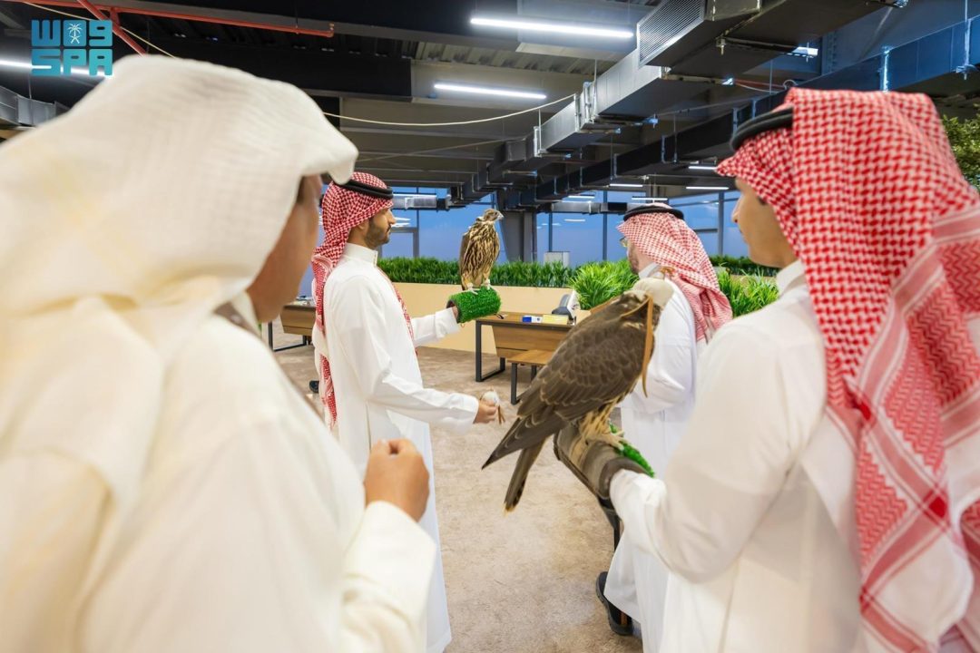 Health Inspections and Secure Procedures at the Forefront of 2025 International Falcon Breeders Auction