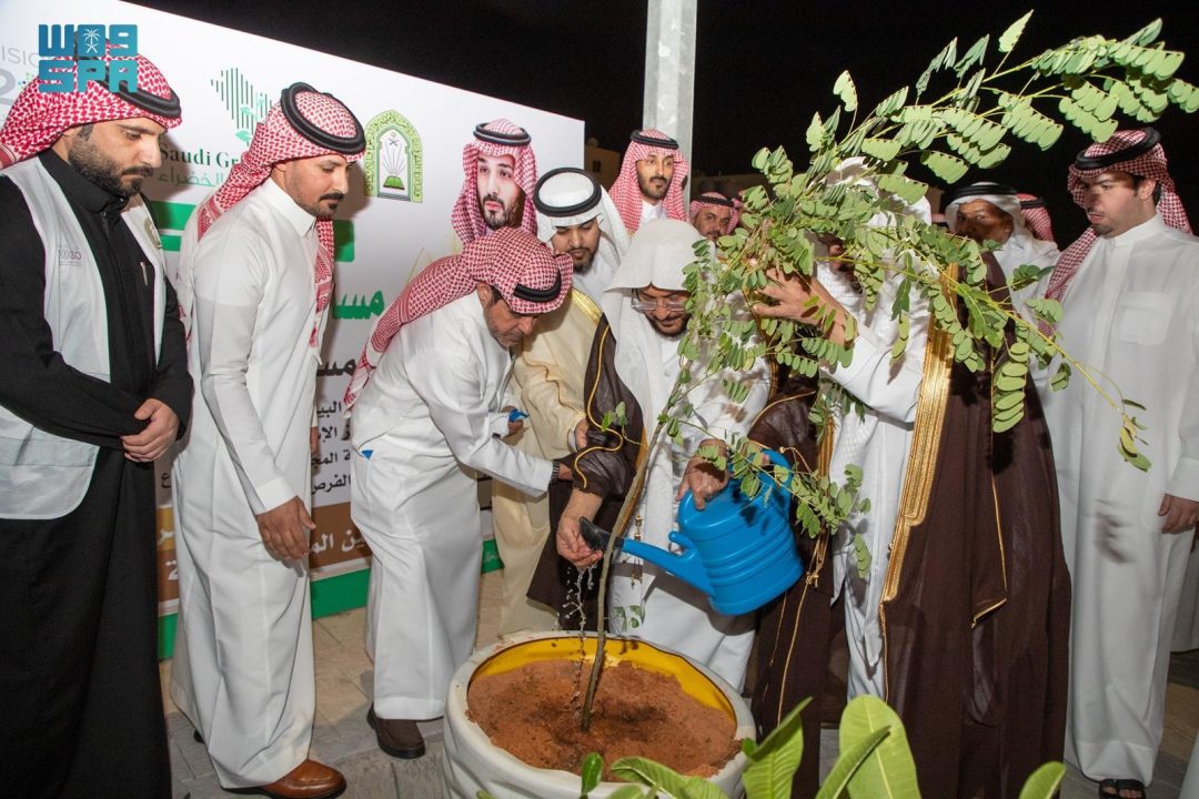 100,000 Seedlings Set to Transform Courtyards of Hail Mosques