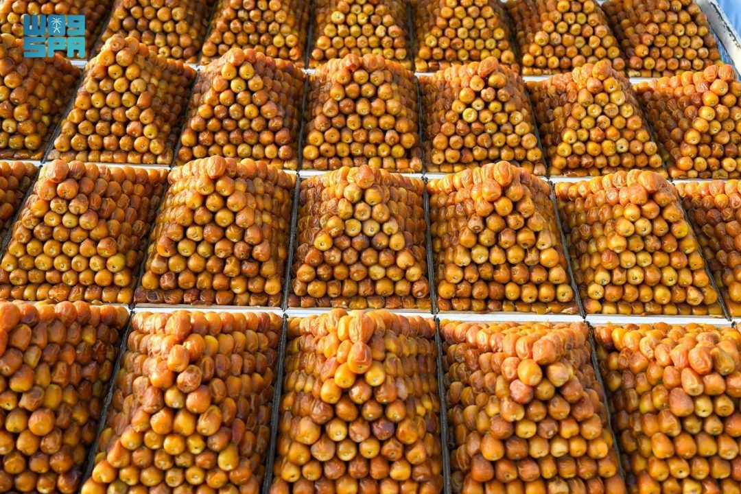 Peak Season Arrives at Buraidah Dates Carnival with Abundant Harvest