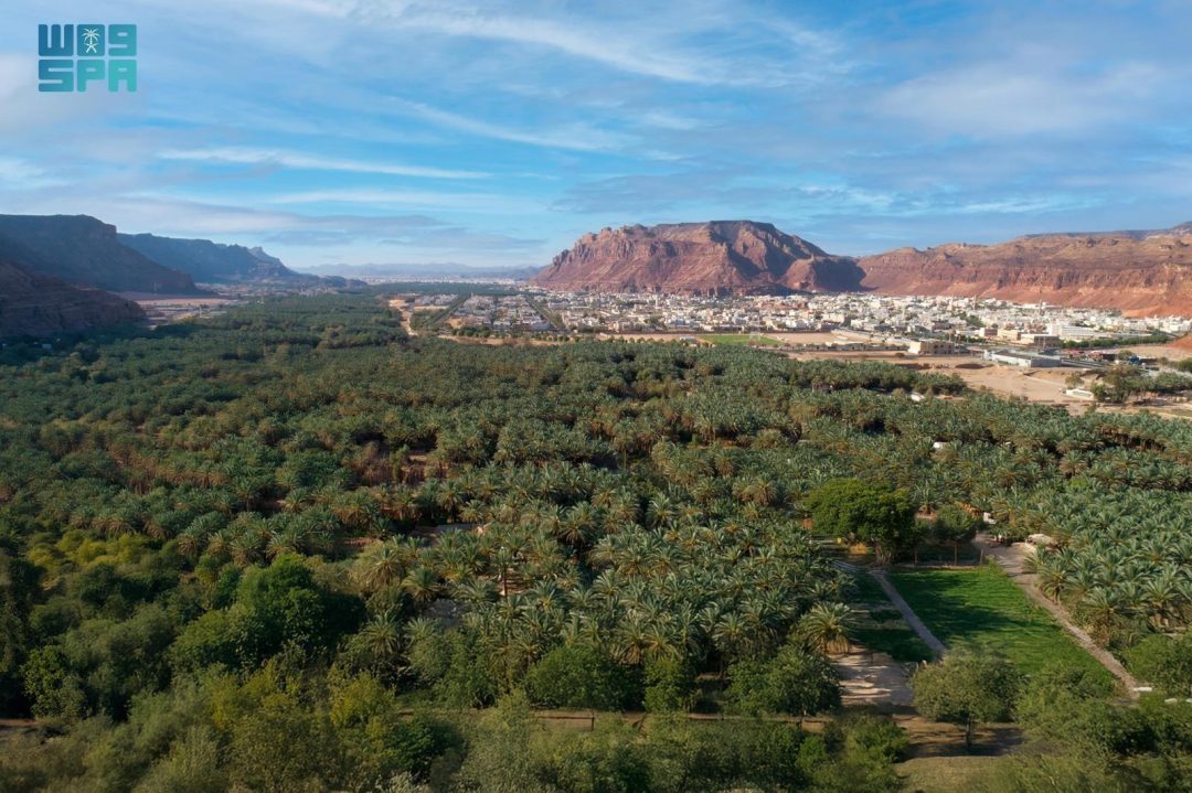 AlUla Kicks Off Summer Fruits Season, Celebrates Abundant Harvest