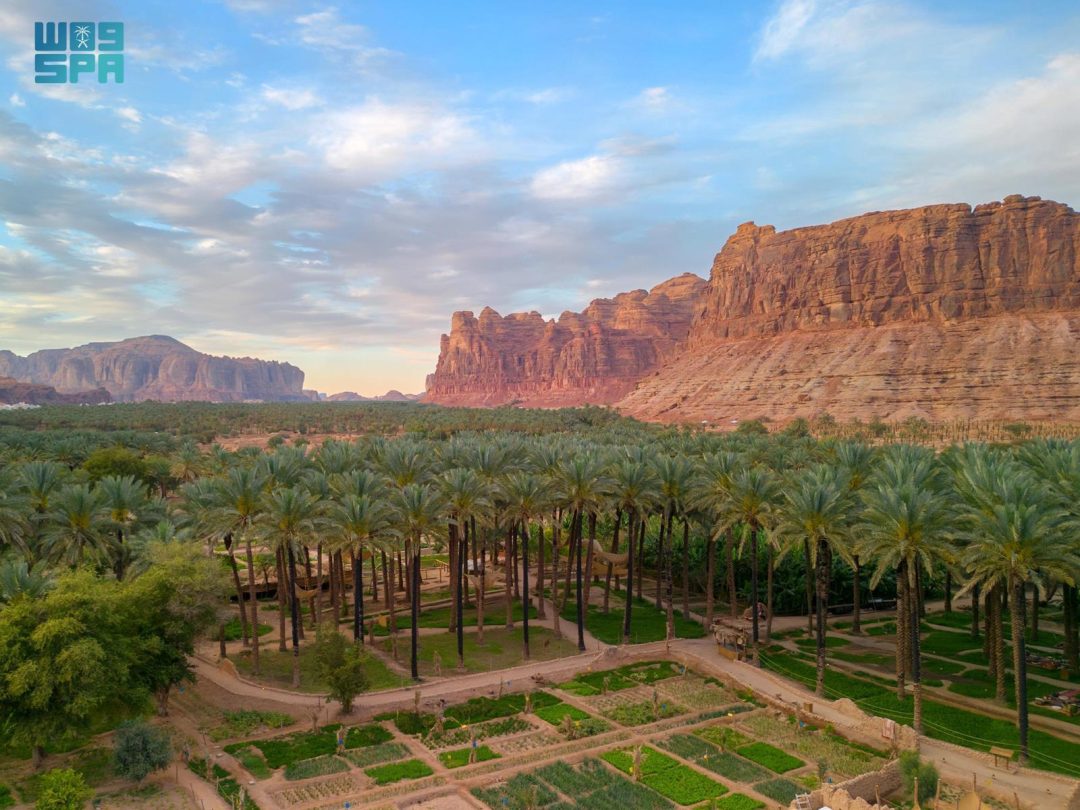 AlUla Dates Season Kicks Off Tomorrow to Boost Local Farmers and Economy