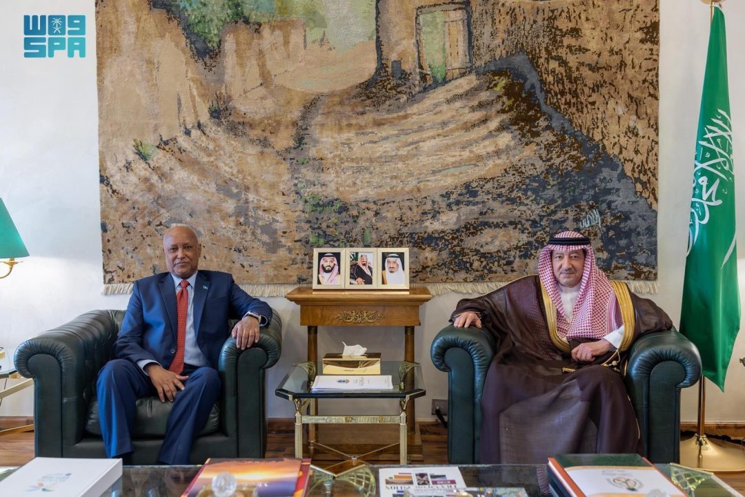 Vice Foreign Minister Meets Somalia’s Ambassador
