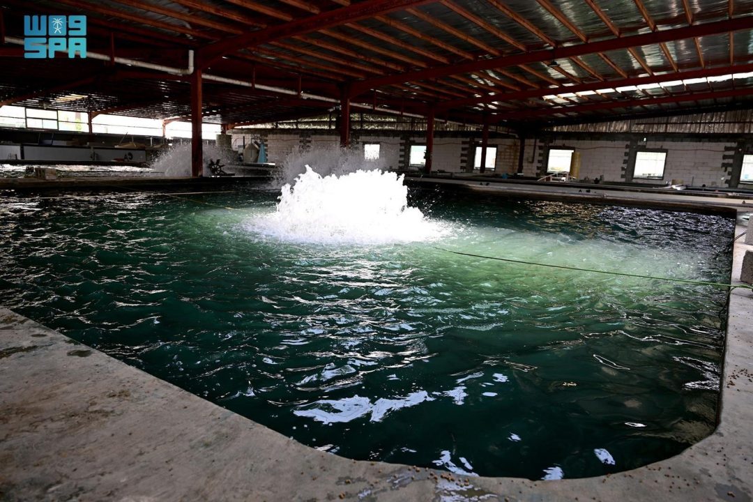 Eastern Region Fish Farms Boost Food Security and Exports