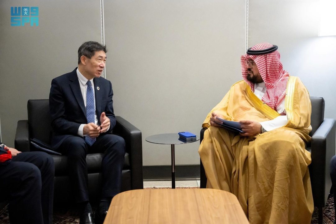 Economy Minister Meets with UNDP Acting Administrator