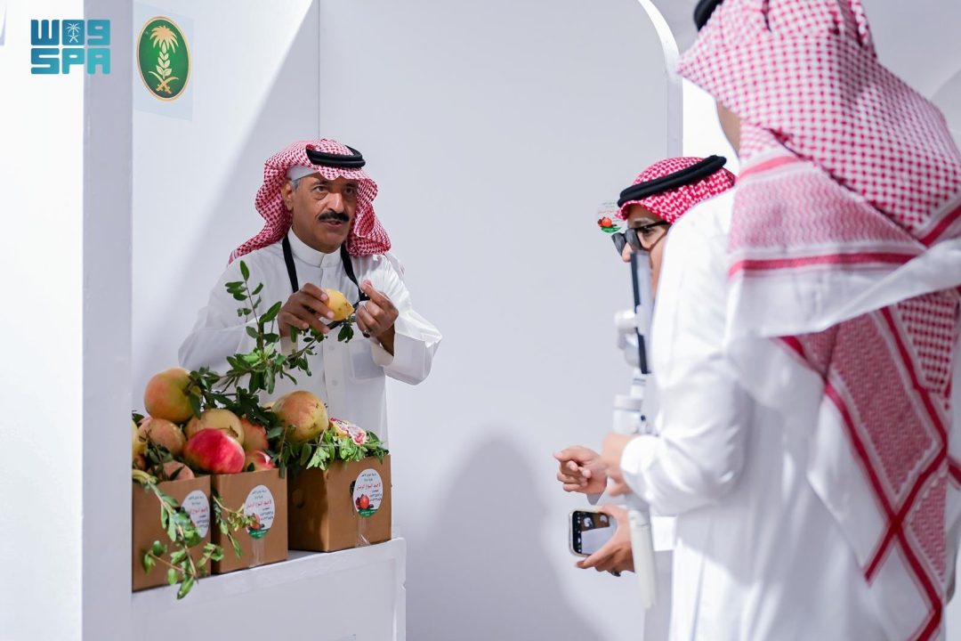 Online Stores Boost Sales, Reach of Al-Baha Pomegranates