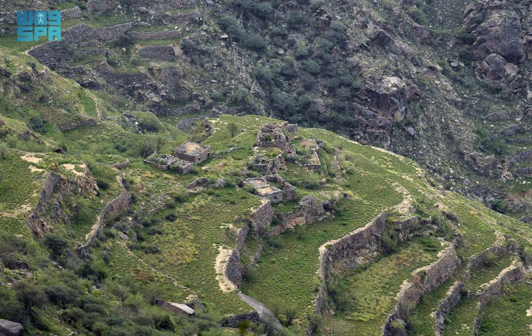 Aseer’s Business Sector Thrives, Fueled by Entertainment and Tourism Surge