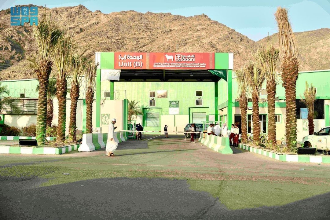 Saudi Arabia’s Adahi Project Achieves Unprecedented Success in Hajj 1446 AH