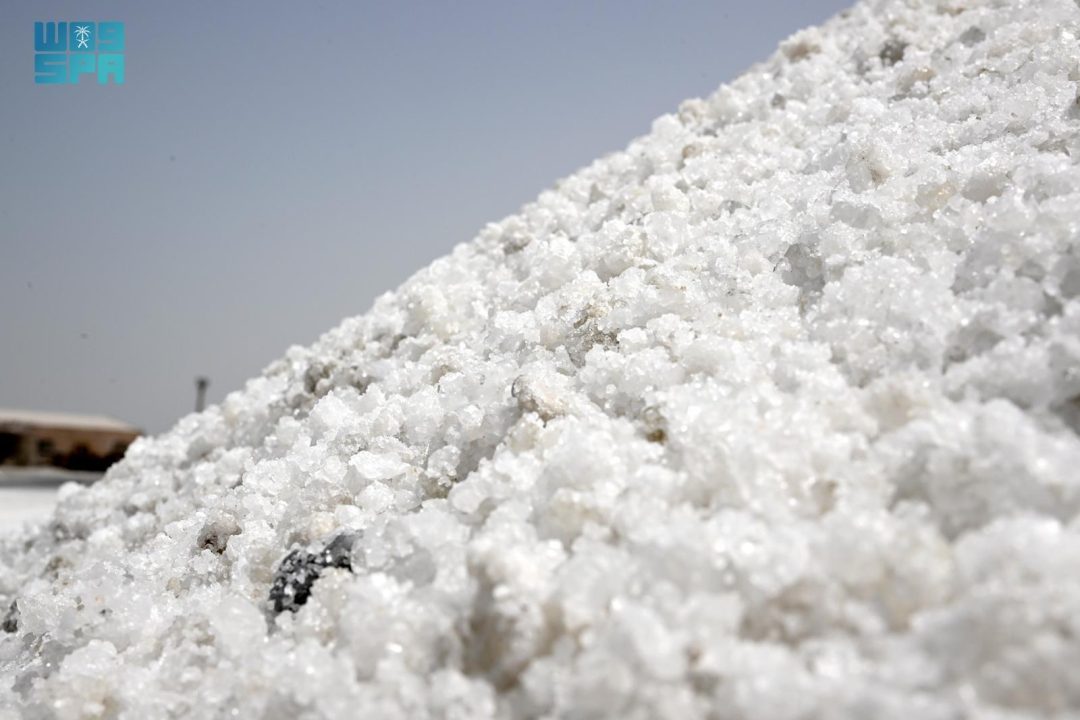 ‘White Gold’ Supplies Local and Global Markets with a Value of SAR3.7 Billion