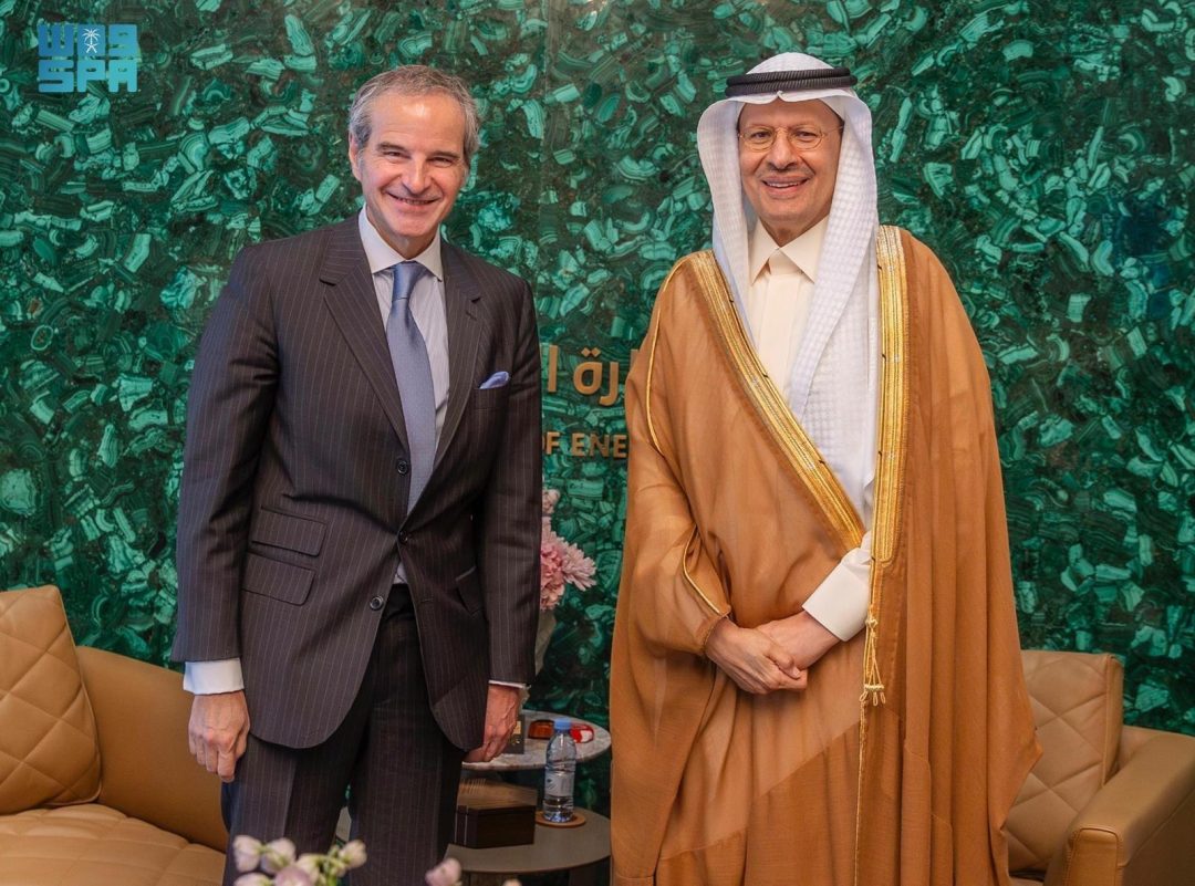Minister of Energy Meets IAEA Director General