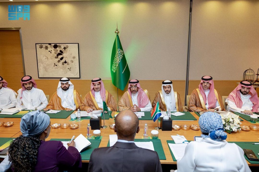 Minister of Industry Discusses Enhancing Economic Cooperation with South African Minister of Trade, Industry