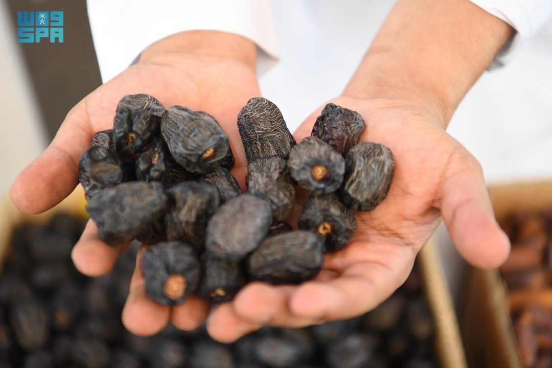 Madinah Date Market Offers Promising Opportunities for Young Entrepreneurs