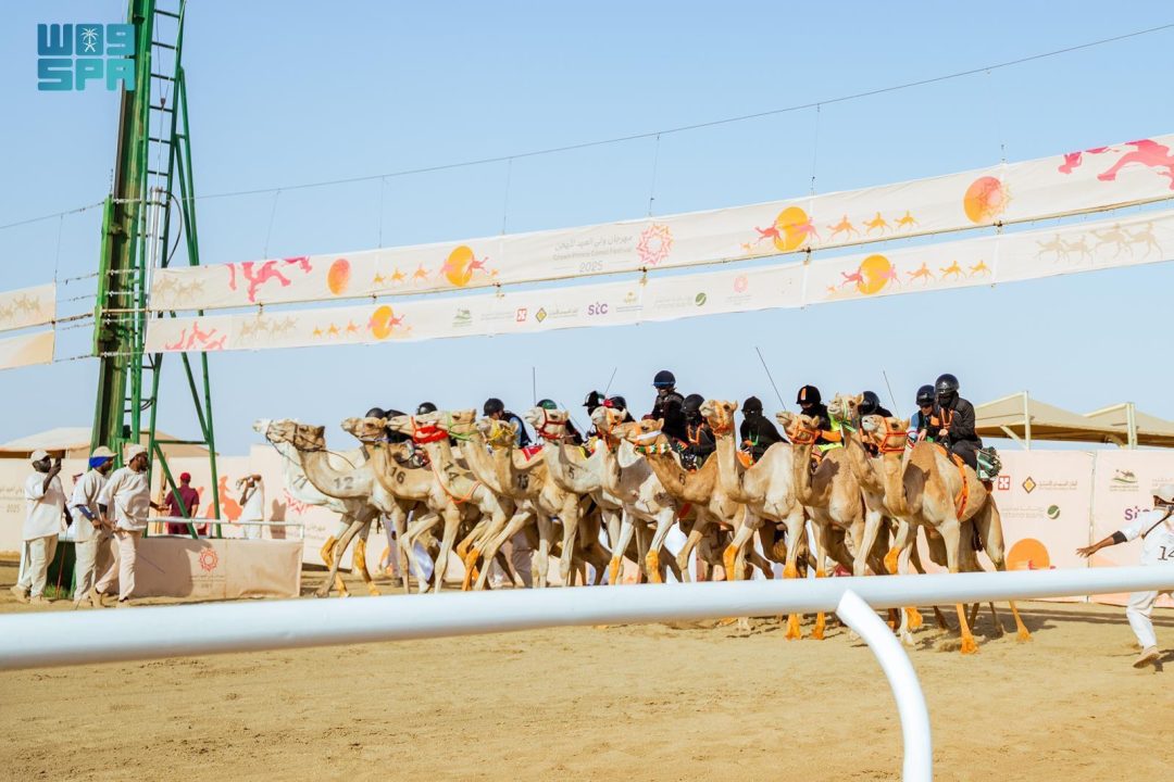 Saudi Female Camel Riders Claim Cups and Set Records at Crown Prince Camel Festival