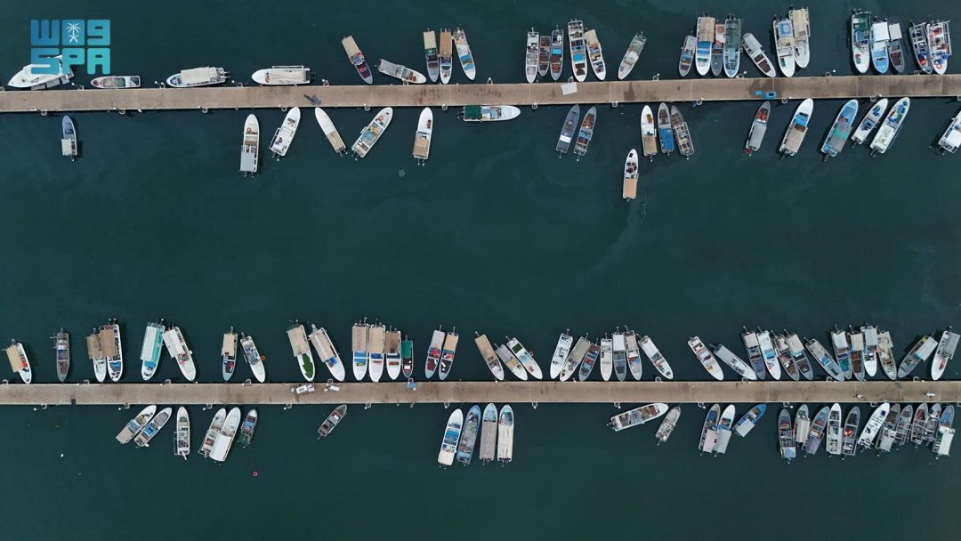 Abundant Marine Supply Fuels Commercial Growth at Jazan’s Fishing Ports