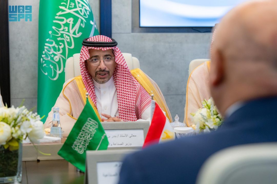 Minister of Industry, Egyptian Counterpart Discuss Strengthening Integration