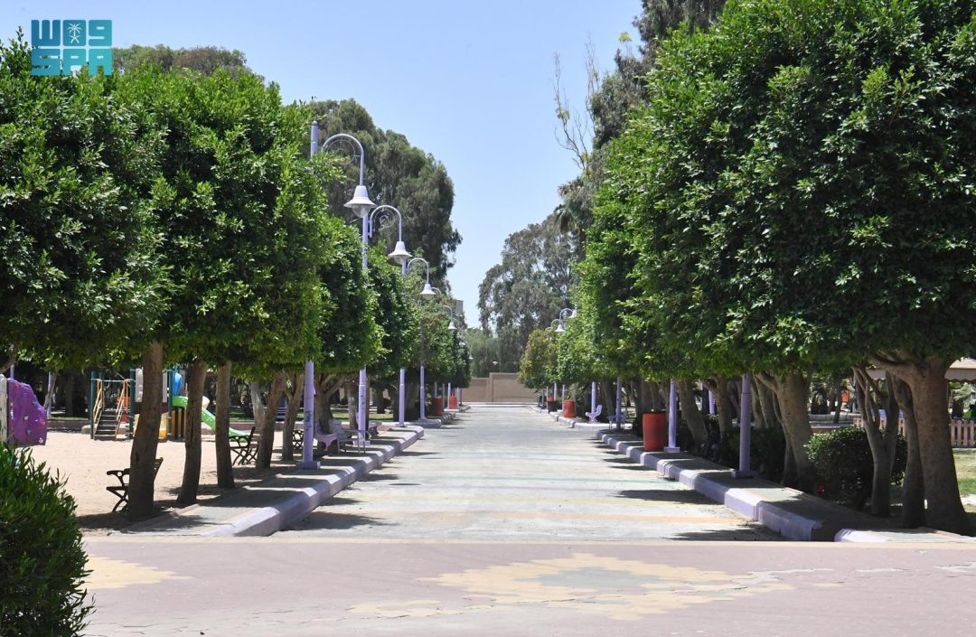 Aseer Prepares to Welcome Tourists with Over 100 Parks, Gardens