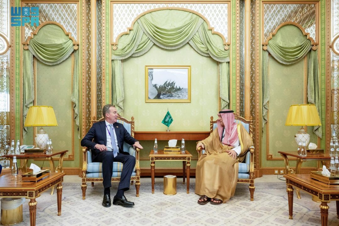Minister of State for Foreign Affairs Meets World Economic Forum President