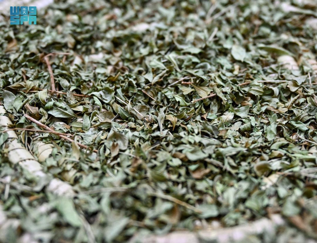 Henna Tradition Thrives in Qassim, Blending Cultural Heritage and Women’s Entrepreneurship