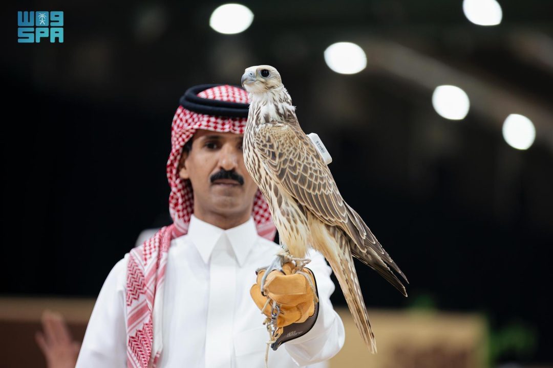 Two Falcons Sold for SAR180,000 at First Session of International Auction