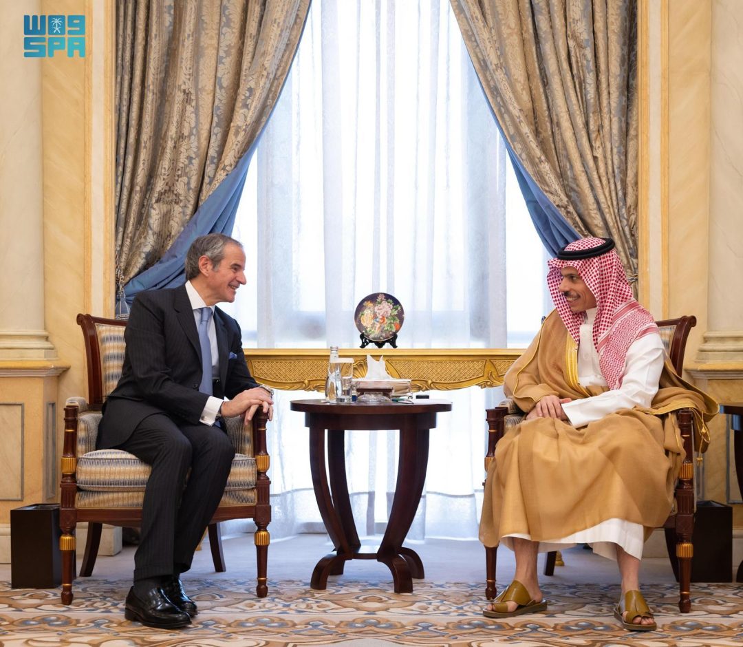 Foreign Minister Meets with IAEA Chief
