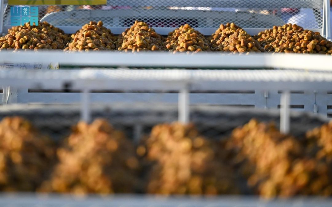 Buraidah Dates Carnival: A Productive Environment Empowering a New Generation of Entrepreneurs