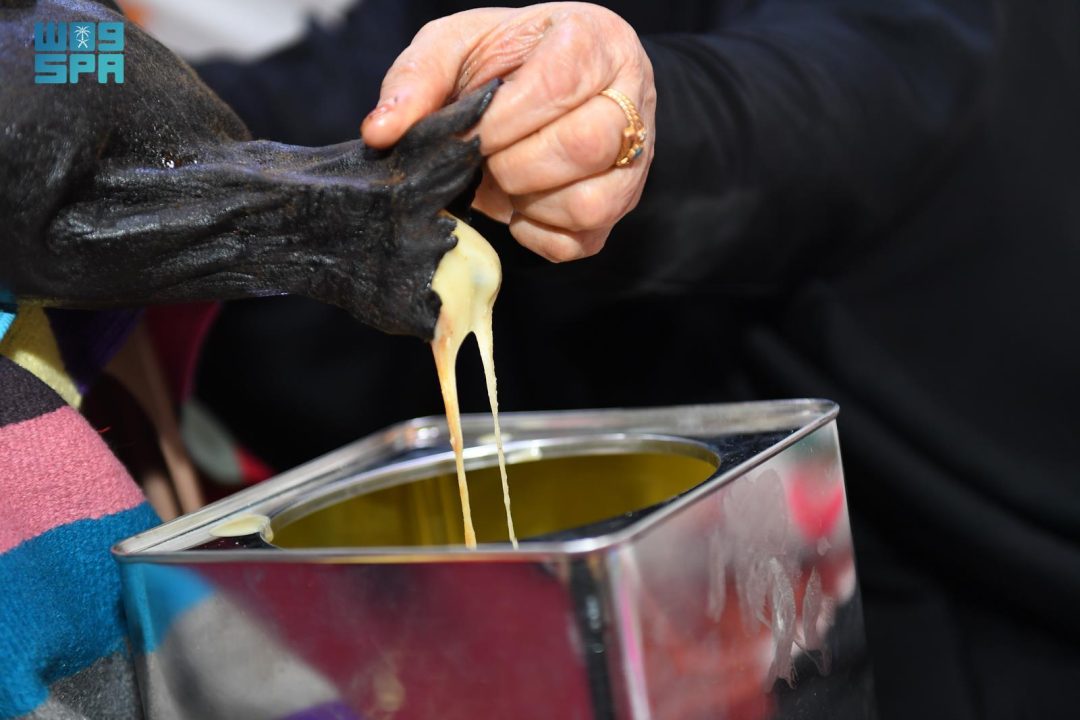 Dairy Products Industry Reflects Deep Connection to Local Heritage in Northern Borders Region