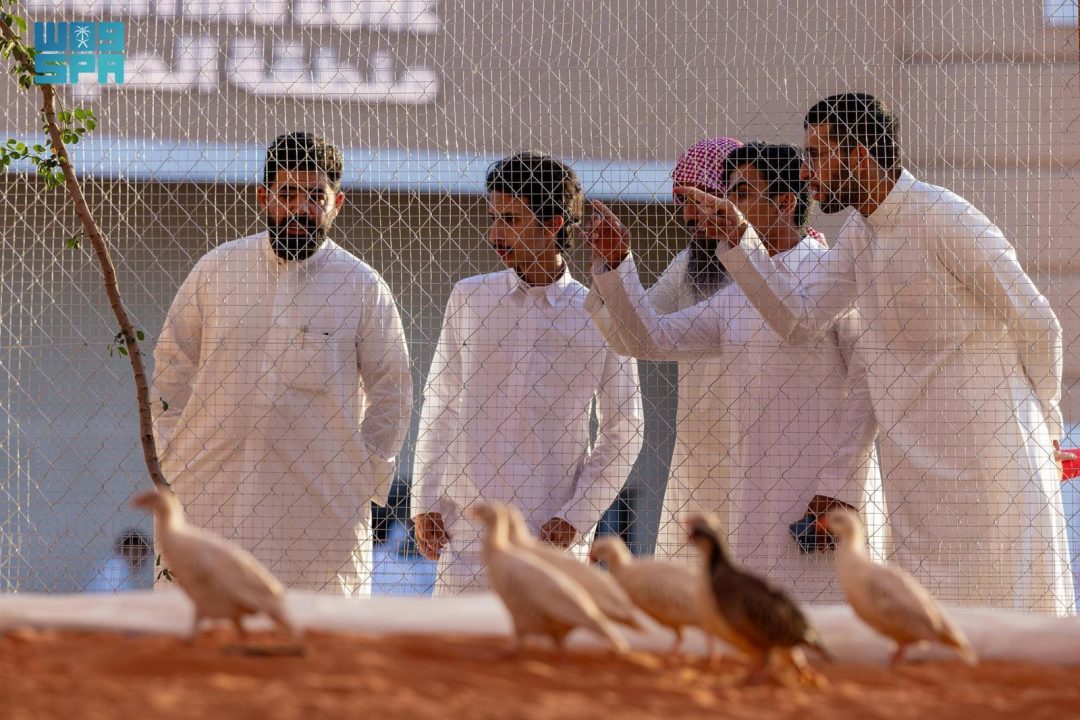 Saudi Falcons and Hunting Exhibition Introduces Safari Zone to Showcase Endangered Animals
