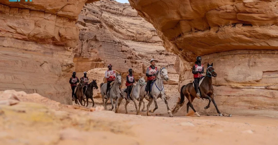 Winners Crowned at Saudi Equestrian Federation Endurance Cup