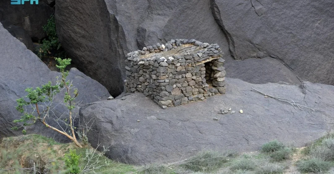 Ancient Saudi Grain Silos Reveal Advanced Social Systems in Aseer Region