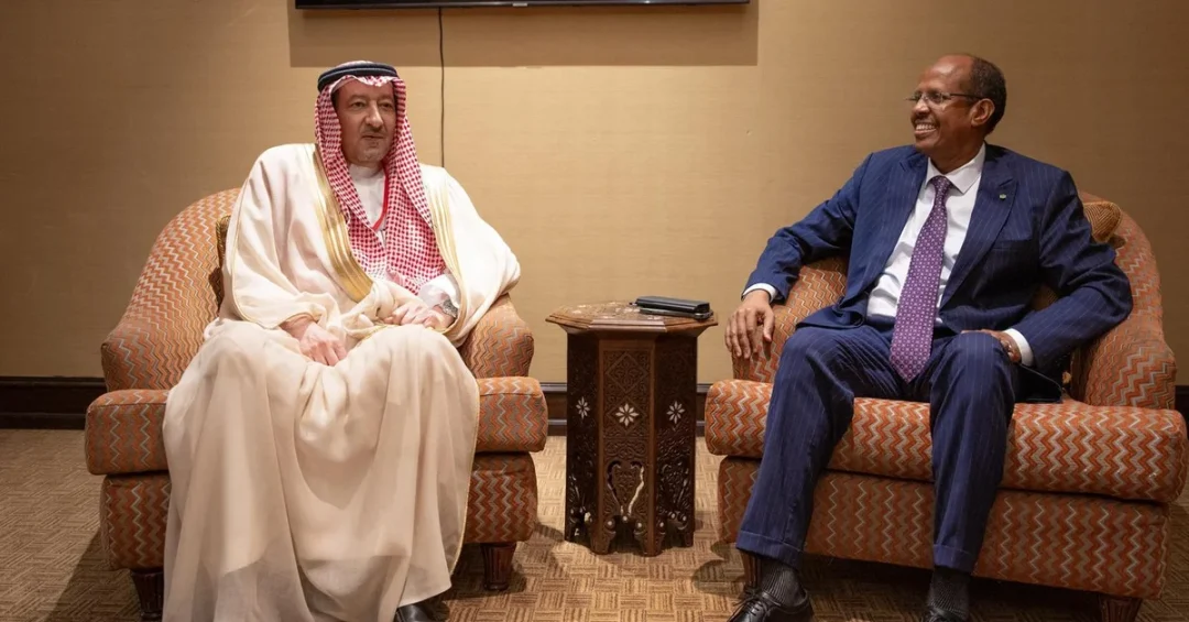 Saudi Vice Foreign Minister Meets Djibouti Counterpart on Sudan Peace