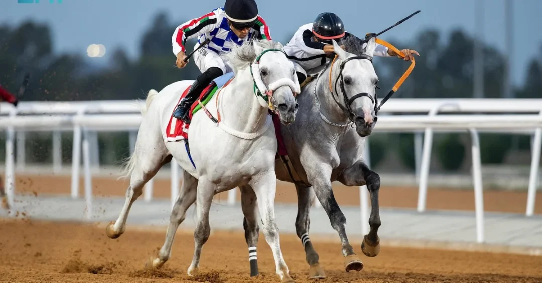 Taif Horse Racing Season Continues with 27 Races and SAR2 Million in Prizes
