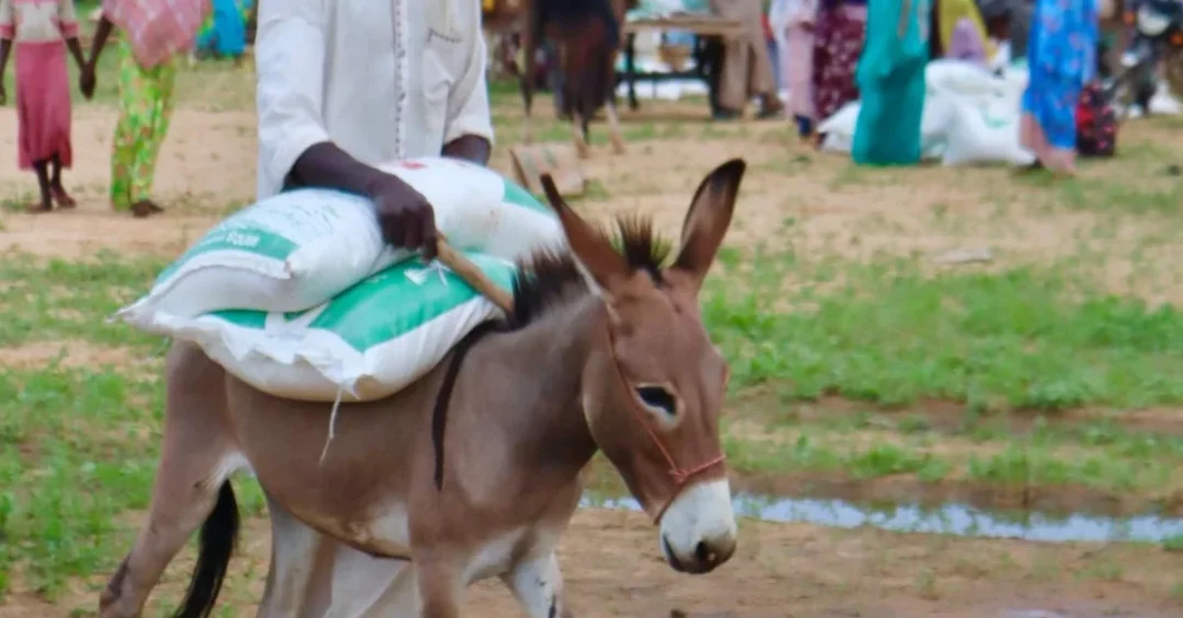KSrelief Distributes 1,200 Food Baskets to Vulnerable Communities in Chad’s Batha Region